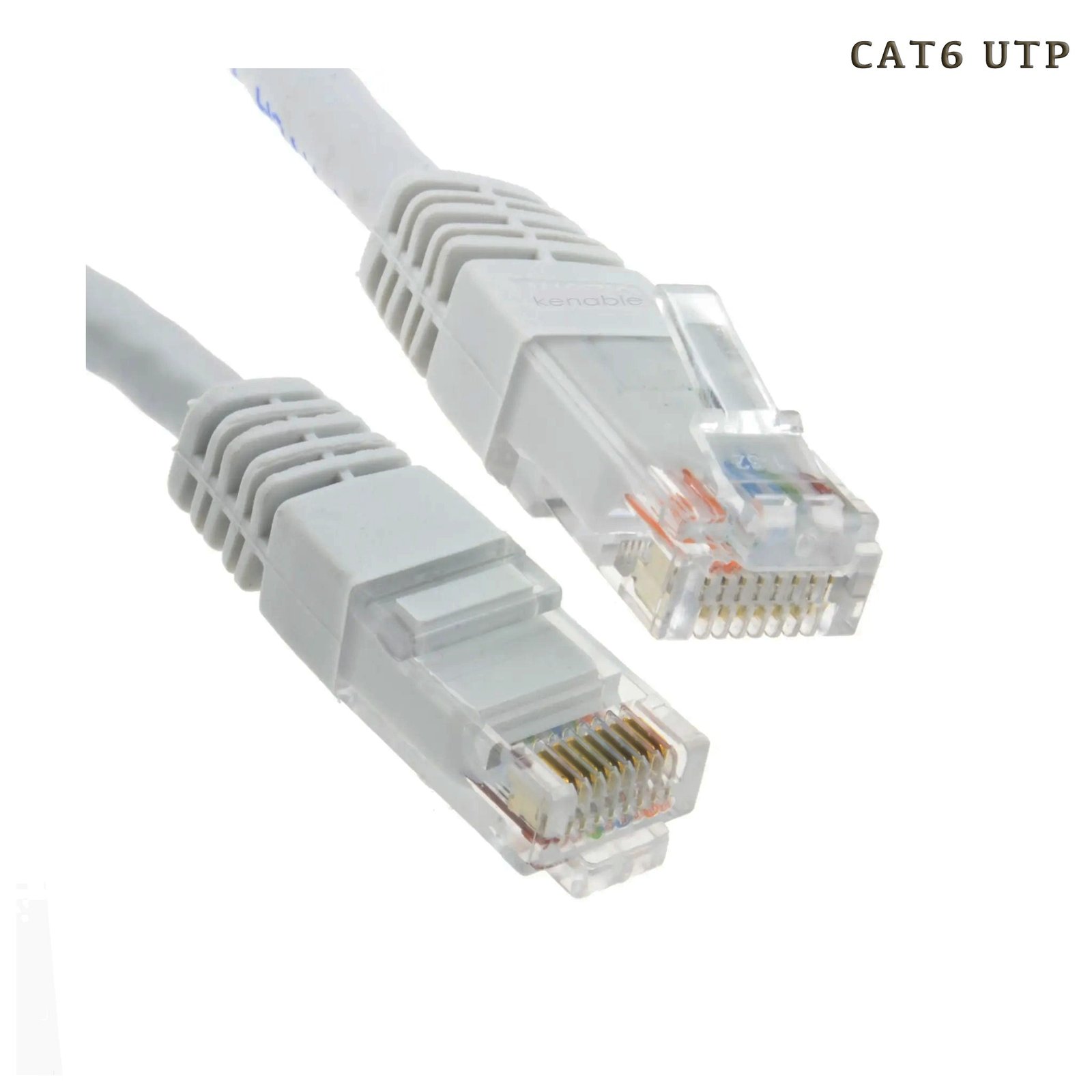 Câble Réseau Brand-Rex Cat6 UTP 5m Original