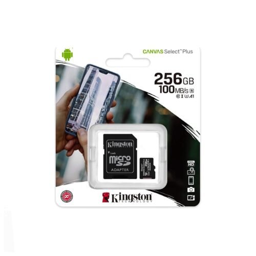 Carte Mémoire Kingston Canvas Select Plus 256 Go