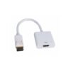 Adaptateur DisplayPort vers HDMI